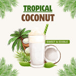Dwarf Coconut Tree Live Plants, Well Rooted from 2 to 3 Feet Tall, Green and Yellow Coconut Plant, Tropical Fruit for Indoor Outdoor Planting