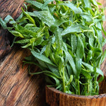 Set 6 Tarragon Plants Live for Gardening 4 to 8 Inch Tall, Hardy Tarragon Live Plant to Grow, Tarragon Culinary Gardening