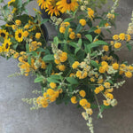 2 Vibrant Buddleia Butterfly Bush Plants Live, Butterfly Bushes Plant for Outdoor Garden, 5 to 9 Inch Tall Perennial Coloful Flowers Plant, No Pot (Yellow)
