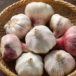 1 Pound Garlic for Planting in Spring Softneck, 5-6 Large Garlic Bulbs for Planting, Fresh and High Yield Bulb Variety Pack, Hardy and Fast Growing