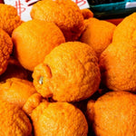 Large Sweet Mandarin Tree Live Plant, Citrus Fruit Tree in 1 Gallon Pot, Suitable for Patio or Outdoor Garden Planting