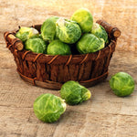 Brussel Sprouts Plant in 4" Pot, Fresh Vegetable Plants Live Potted for Planting Home Garden, Annual Vegetable Plant