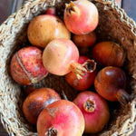 Pomegranate Tree Live Plant, Cold Hardy Pomegranate Plant Live, All Year Planted, 5 to 7 Inches Tall, 4 Inc Potted