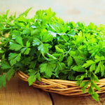 4 Parsley Plants Live for Planting, 4 to 7 Inc Tall, Parsley Vegetable Plant for Growing Indoor Outdoor