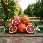 Red Navel Orange Tree Live Plant, Citrus Fruit Plant in 1 Gallon Pot, Sweet Orange Fruit Tree for Indoor Outdoor Gardening