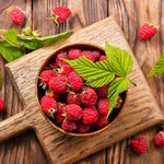 2 Raspberry Plants Live for Planting, Raspberry Bush Live Plants, Size 5-8 Inch Tall, Sweet Raspberry Trees, Well-Rooted (Red Raspberry)