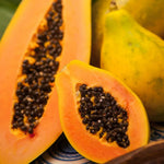 Papaya Plant Live in 4'' Pot, Sweet Edible Tree, Suitable for Gardens, Patios, and Outdoor Planting, Cold Hardy, Ready to Grow, 5-10 Inch Tall