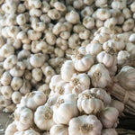 1 Pound Garlic for Planting in Fall Softneck Hardneck, 5-6 White Garlic Bulbs for Planting, Fresh and High Yield Bulb Variety Pack, Hardy and Fast Growing