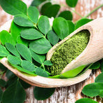 Live Moringa Tree Plant, Moringa Oleifera Plants, 6-10 Inch Tall in 4 Inch Pot, 2 Plants Per Pot for Planting