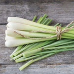 Set 800 Lemongrass Seeds for Indoor or Outdoor Growing, Fragrant Culinary Garden Seeds for Planting