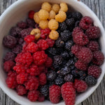 High Yield Raspberry Plants Live for Outdoor Planting, Size 5-9" in Tall, No Pot, Dormant in Winter, Cold Hardy (Red Caroline)
