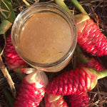 10 Count Shampoo Ginger Plant Rhizomes, Wild Awapuhi Zingiber Zerumbet Pinecone Bitter Red Ginger, Hardy in Zones 9-11