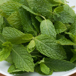 Spearmint Live Plant, 3 to 6 Inch Tall Spearmint Herb Plant, Mint Plants for Outdoors, No Pot