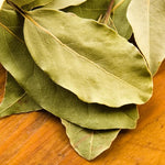 Bay Leaf Tree Plant, Sweet Bay Leaf Tree, 7-10 Inches Tall, Laurus Nobilis in 4 Inch Pot for Growing