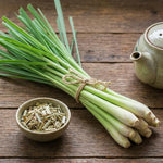 800 Lemongrass Seeds for Outside, Lemon Grass Seed for Planting, Perennial Seed, Ready to Grow Herb Garden
