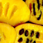 Paw Paw Tree Live Plant, Pawpaw Tree Live Plant, Quart Potted, Outdoors Garden