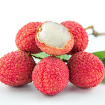 Lychee Fruit Tree 12-18" Tall, Well-Rooted Litchi Plant in One Gallon Pot, Hardy Tropical Tree for Garden and Patio