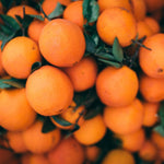 Live Seedless Mandarin Orange Tree, 1 to 2 Feet Tall, Sweet Citrus Tree for Container or Backyard Garden Growing