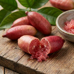 Pink Finger Lime Tree Live Plant, Rare Citrus Fruit Tree from 1–2 Feet Tall in 3 Gallon Pot, Ready for Indoor Outdoor Planting