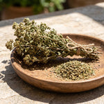 2 Oregano Plants Live 4-7 Inches Tall, Fragrant Herb for Garden, Patio Pots, Indoor and Outdoor Use