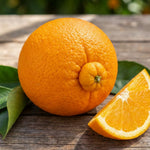 Navel Orange Tree Live Plant, Citrus Fruit Plant in 1 Gallon Pot, Sweet Orange Fruit Tree for Indoor Outdoor Gardening