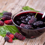 Set of 2 Dwarf Everbearing Mulberry Trees Live Plants, Starter 4-6 Inches Tall, No Pot, Mulberry Bush Fruit for Outdoor Growing, Cold Hardy