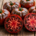 Set 2 Tomato Plants, Black Red Tomato Plants Live for Planting, 4-6 Inc Tall, Live Vegetable Plant for Indoor Outdoor Garden