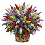 Random Buddleia Butterfly Bush Plant Live, 5-9" in Tall, No Pot, Perennial Bushes Ready to Plant in Spring Outdoor Gardening, Dormant in Winter