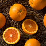 Upright Mandarin Tree Live Plant Grafted 2-3 Feet, Fast-Growing and Bear Fruit for Citrus Garden Outdoor Planting Zones 9-11