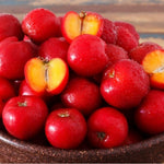Set of 3 Acerola Cherry Trees Live Plant, 5-10 Inch Tall Tropical Fruit Plants, No Pot, Outdoor Cherry Plant in Spring, Cold Hardy