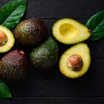 Dwarf Avocado Tree Plant Live, Patio Container Tree, 1-2 Ft Tall