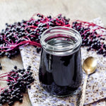 Elderberry Bush Plants Live, Black Elderberry Plant for Outdoor Garden, 5 to 9 Inch Tall Perennial Fruit Plant, No Pot, Cold Hardy, Dormant in Winter