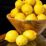 Yellow Lemon Tree Live Plant, 3-5 Inches Tall for Planting