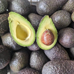Live HASS Avocado Tree Plant in 3 Gallon Pot, Cold Hardy Avocado Tree 2-3 Ft Tall, Ready to Bear Fruits