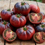 Set 2 Tomato Plants, Dark Purple Tomato Plants Live, 4-6 Inc Tall, Large Fruit Tomatoes for Container, Patio and Garden