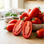 2 Long Red Tomato Plants, 6-8 Inc Tall, Live Tomato Plants for Planting