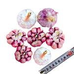 1 Pound Hard Neck Garlic for Planting in Fall, Purple Stripe Garlic Bulb for Planting, Fresh and High Yield, Cold Hardy, Planting Softneck Hardneck