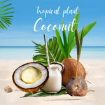 Green Coconut Tree Live, Sweet Edible Fruit for Outdoor Gardening, Live Sprouted Coconut from 6 to 8 Inch Tall, Ready for Planting in Zones 10-11