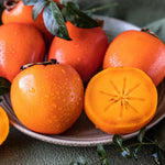 Persimmon Tree Live Plant, Persimmon Fruit Trees Live Plant, Quart Pot
