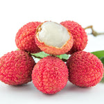 Live Lychee Fruit Tree 10-12" Tall, Well-Rooted Litchi Plant in Half-Gallon Pot, Hardy Tropical Tree for Garden and Patio