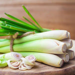 400 Lemon Grass Seeds, Fragrant Herb Lemongrass, Lemongrass Seeds for Outdoor Planting