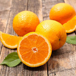 Valencia Orange Tree Live Plant 1.5-2 Ft Tall in 1 Gallon Pot, Citrus Fruit Tree for Patio Containers, Backyard and Indoor Growing