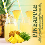 Pineapple Plant, Gold Pineapple Plants Live, Well Rooted from 4 to 6 Inches Tall, Tropical Sweet Fruit Seedling for Outdoor Gardening