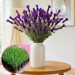2 Spanish Lavender Plants Live for Planting Outdoor, 3-4" Lavender Live Plants for Fragrant Sun Perennial Herb