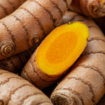 20 Turmeric Roots for Planting, TPP Size Turmeric Plants Rhizomes for Planting, Fresh and High Yielding, Hardy Perennial Herb for Year-Round Planting