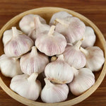 1 Pound Hard Neck Garlic for Planting in Spring, Music Garlic Bulb for Planting, Fresh and High Yield, Cold Hardy, Planting Softneck Hardneck