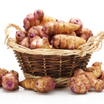 Set of 10 Jerusalem Artichoke Roots for Growing, Sunchoke Tubers, Edible Garden Vegetable for Outdoor Growing