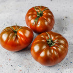 Set 2 Tomato Plants, Black Red Tomato Plants Live for Planting, 4-6 Inc Tall, Live Vegetable Plant for Indoor Outdoor Garden