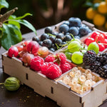Pack 4 Assorted Fruit Plants Live, Strawberry, Blueberry, Raspberry, Banana (4–8” Tall), Edible Fruit Plants, Easy to Grow Indoor Outdoor