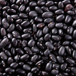 Live Black Bean Plant, Bean Bush Plants, 3-5 Inches Tall